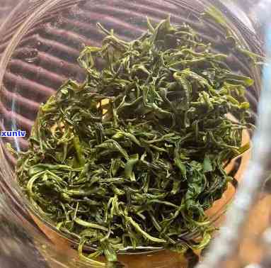 崂山茶好还是日照茶好，崂山茶与日照茶：一场口感的较量