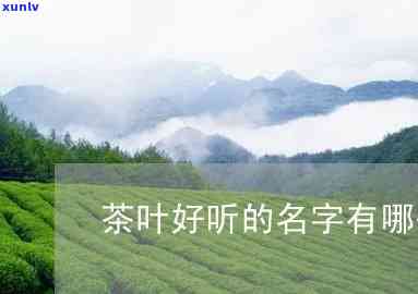 茶叶起什么名好听点，如何给你的茶叶取个好听的名字？