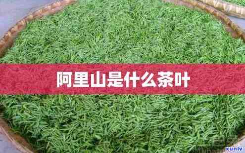 阿里山的茶叶好不好-阿里山的茶叶好不好喝