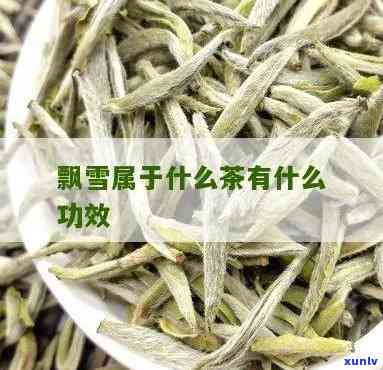 飘雪茶叶哪个牌子好-飘雪茶叶哪个牌子好喝