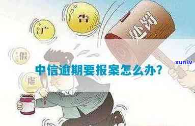 中信11万逾期报案-中信11万逾期报案会怎样