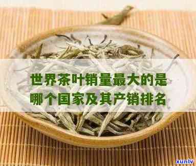 哪个的茶叶卖，揭秘全球茶叶市场：哪个的茶叶更受欢迎？