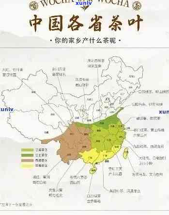 哪个的茶叶喝最出名？探讨全球知名茶叶与产地