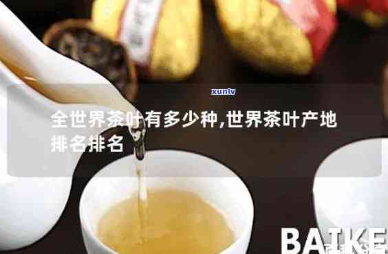 哪个的茶叶喝最出名？探讨全球知名茶叶与产地