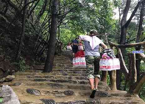 丹霞石价格，探究丹霞石的价格：一份详尽的市场分析报告