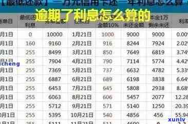 中信逾期20天利息-中信逾期20天利息多少