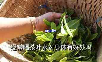 经常喝茶叶水好不好-经常喝茶叶水好不好?