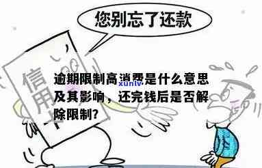 逾期限制高消费：含义解析与作用