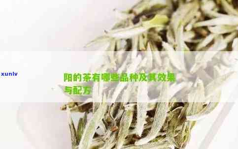 阳的茶叶买哪个牌子好，阳茶叶推荐，哪个牌子值得购买？