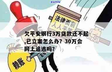 欠平安银行3万贷款还不起,已经立案怎么办？解决办法与建议