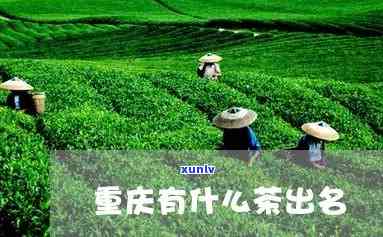 重庆茶叶哪个好-重庆茶叶哪个好一点