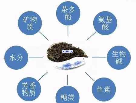 茶叶含水量塑性较好的是哪种，揭秘茶叶中的“黄金比例”：含水量与塑性怎样作用品质？