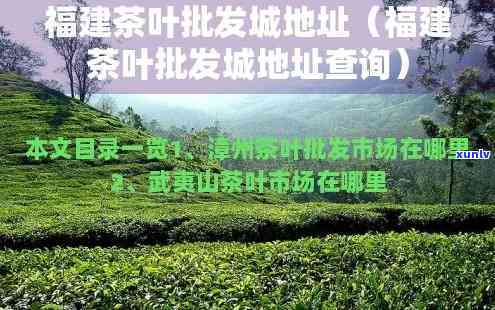 福州茶叶市场哪个更大，探寻福建茶叶之都：福州更大的茶叶市场在哪里？