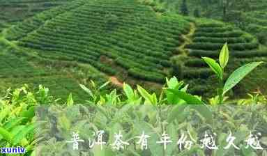 茶叶年限久了好不好-茶叶年限久了好不好?