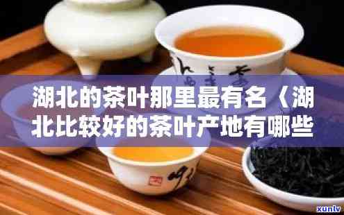 湖北哪里产的茶叶好-湖北哪里产的茶叶好喝