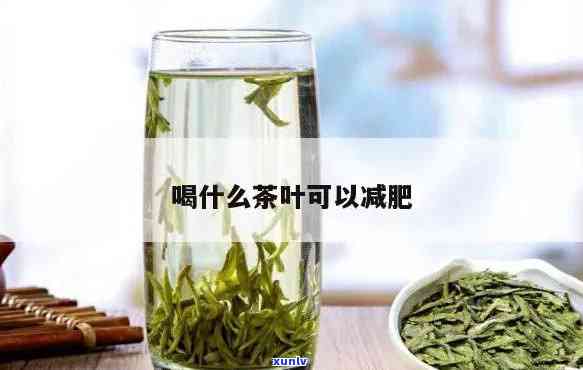 喝啥茶叶能减肥效果好，喝什么茶叶可以有效减肥？一份全面的茶饮减肥指南