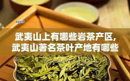 武夷山哪里的茶叶，探寻茶叶之巅：武夷山茶叶产地在哪里？