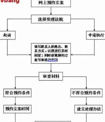 信用消费贷逾期立案流程全解：步骤、图表及详细说明