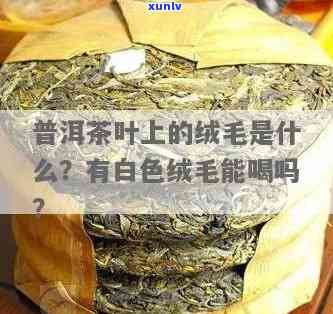 茶叶上的绒毛：作用与功效解析