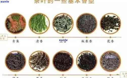 香甜的茶叶都有什么茶，探索香甜口感的茶叶种类：一探究竟！