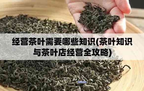 卖茶叶需要懂什么？全面解析茶叶销售所需知识