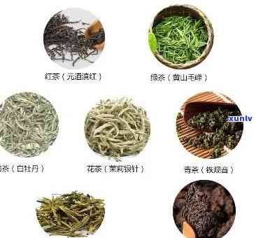 常见的茶叶品种图片-常见的茶叶品种图片大全