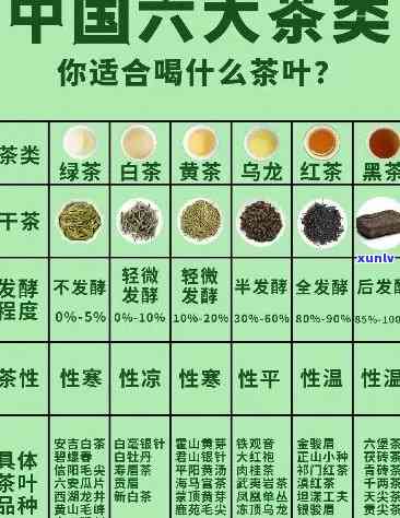 各类茶叶适合哪类人-各类茶叶适合哪类人群喝