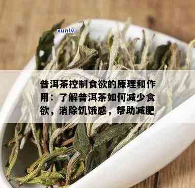 喝茶叶会抑制食欲吗为什么，探究茶叶对食欲的抑 *** 用：原因解析