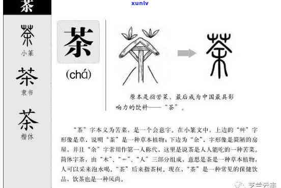 茶叶是如何被中国人所发现和引用的,从字源上，揭秘中国茶叶的历：从字源看其发现与引用之路