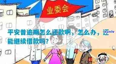 平安普逾期还不上，平安普：怎样解决逾期还款疑问？