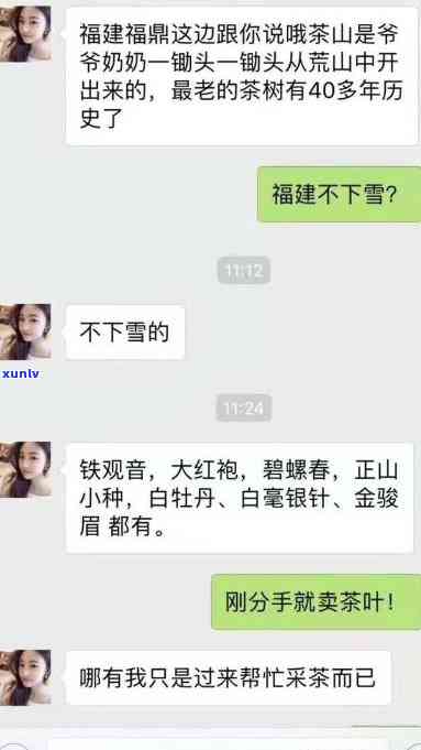 陌陌上卖茶叶的女人-陌陌上卖茶叶的女人是真的吗