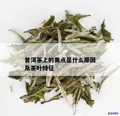 茶叶上有黄点是什么茶类，茶叶上的黄点：揭示不同茶类的秘密