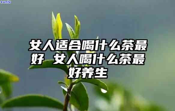 女人喜欢喝茶叶水好吗？探讨其益处与注意事