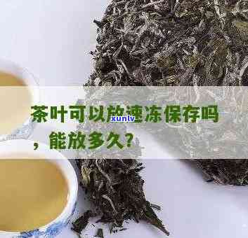 茶叶冷冻好吗？可以存放多久？