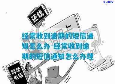 收到消费逾期的短信怎么办，解决逾期消费短信的步骤