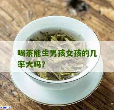 喝茶叶真的能增加生男孩几率吗？科学解析原因与限制