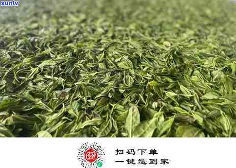 像树枝的茶叶是什么茶？探索其独特品种与分类