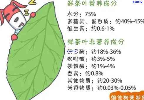 茶叶主要成分功效表，探究茶叶的神奇功效：主要成分解读