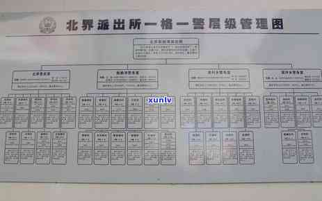 八角亭普洱0432哪款好_百度百科_官网档次