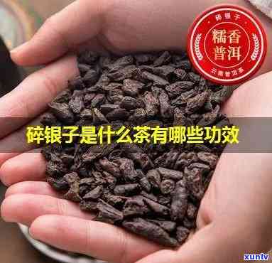 碎银茶叶有什么功效和作用，探索碎银茶叶的神奇功效与作用