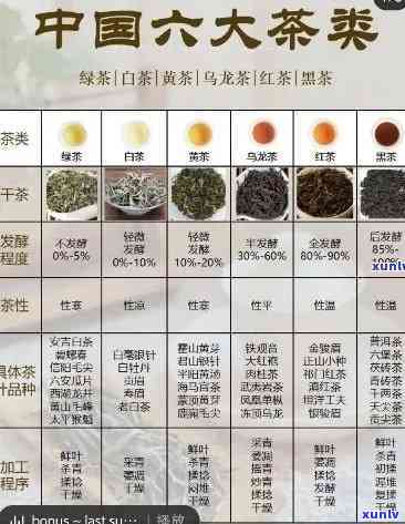 不同品种茶叶的功效区别及图片解析