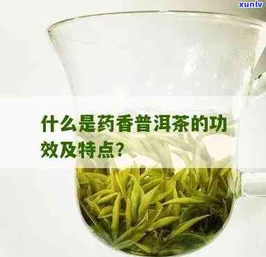 药香的茶叶是什么茶，揭秘药香茶叶：它究竟是什么茶？