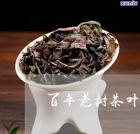 百年老树茶叶的功效-百年老树茶叶的功效与作用