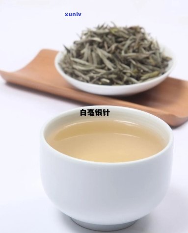 白茶白毫银针茶的功效，探究白茶白毫银针茶的神奇功效