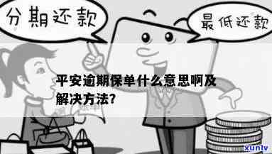 平安逾期是什么意思-平安逾期是什么意思啊