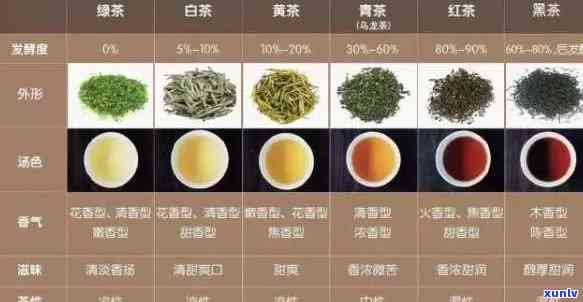 不同茶叶的不同功效与作用，探索茶叶的奥秘：了解不同茶叶的功效与作用