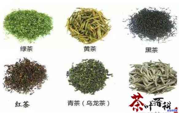 不同茶叶的不同功效与作用，探索茶叶的奥秘：了解不同茶叶的功效与作用