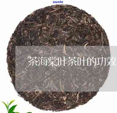 湖北海棠叶茶的副作用，探讨湖北海棠叶茶的潜在副作用