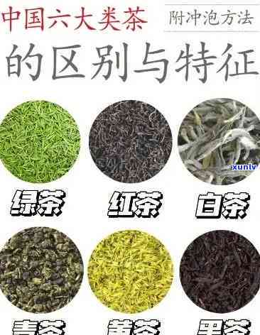 认识各个茶叶的品种以及它们的功效，探索茶叶的世界：认识各品种及其独特功效