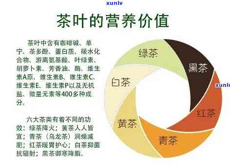 揭示茶叶的营养与保健功能：全方位解析